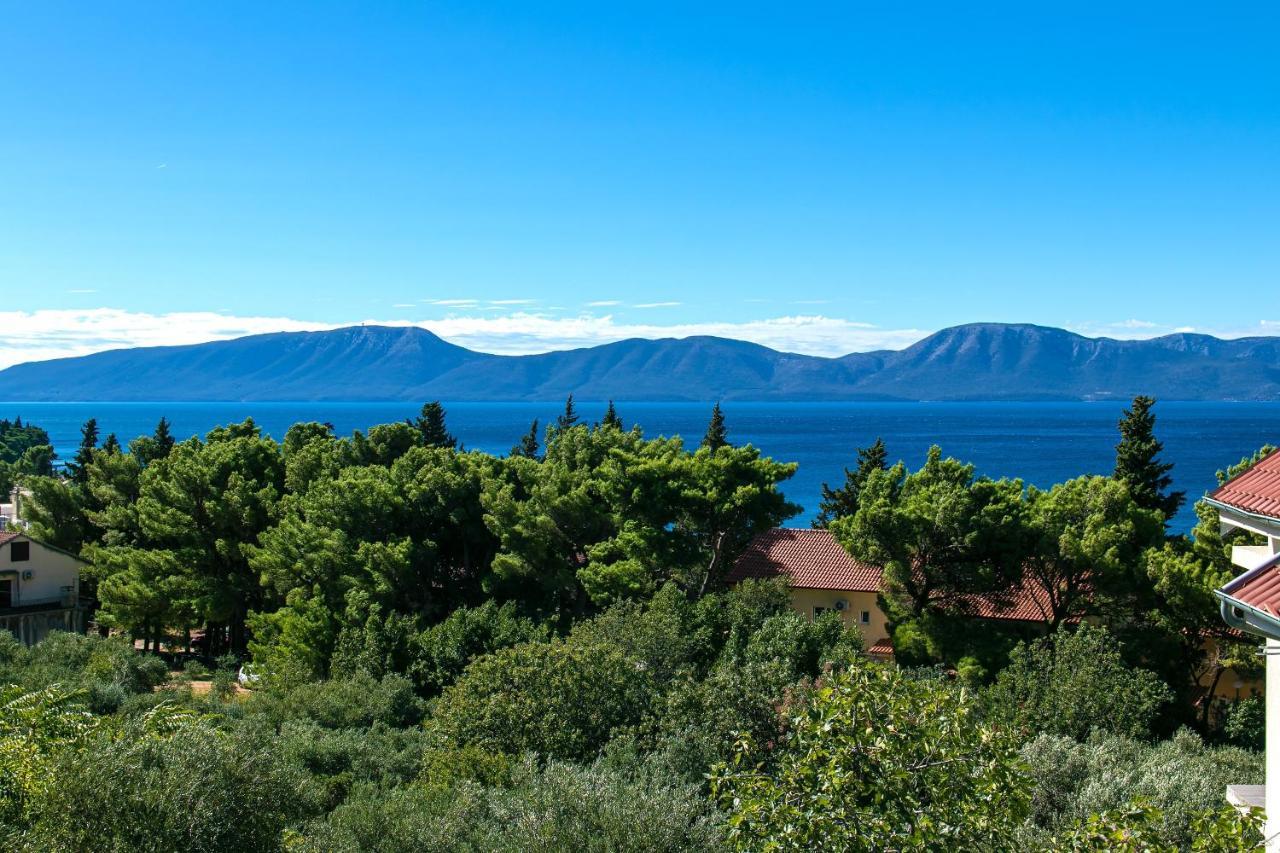 Apartments With A Parking Space Gradac, Makarska - 14708 Dış mekan fotoğraf